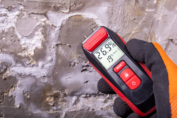 Home Mold Removal in Montrose, VA
