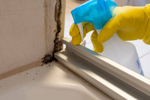 Best Residential Mold Removal  in Montrose, VA