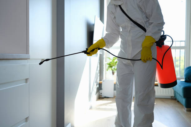Best Local Mold Removal Service  in Montrose, VA