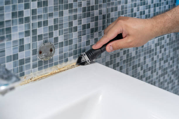 Best Mold Removal Company Near Me  in Montrose, VA