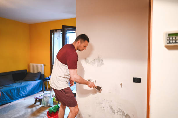 Best Water Damage Restoration  in Montrose, VA